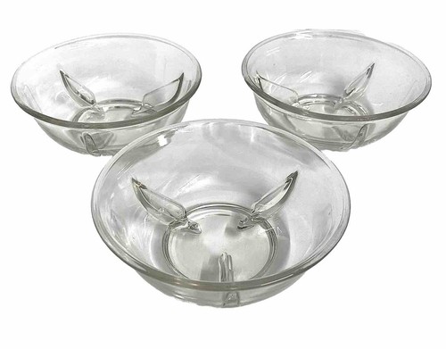 Lot glass shrimp - of,